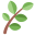 Verdant logo